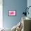 Rose Blossom, Pink, Close Up-Herbert Kehrer-Framed Photographic Print displayed on a wall