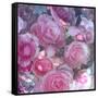 Rose Blossom with Other Flowers-Alaya Gadeh-Framed Stretched Canvas