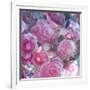 Rose Blossom with Other Flowers-Alaya Gadeh-Framed Photographic Print