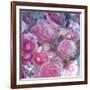 Rose Blossom with Other Flowers-Alaya Gadeh-Framed Photographic Print