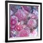 Rose Blossom with Other Flowers-Alaya Gadeh-Framed Photographic Print