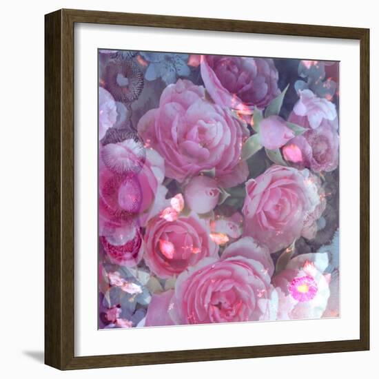 Rose Blossom with Other Flowers-Alaya Gadeh-Framed Photographic Print