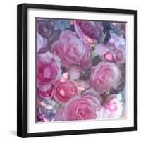 Rose Blossom with Other Flowers-Alaya Gadeh-Framed Photographic Print