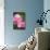 Rose, Blossoms, Bud, Medium Close-Up-Brigitte Protzel-Photographic Print displayed on a wall