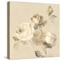 Rose Blossoms Crop-Wild Apple Portfolio-Stretched Canvas