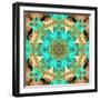 Rose Blossoms Symmetric Ornament-Alaya Gadeh-Framed Photographic Print