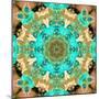 Rose Blossoms Symmetric Ornament-Alaya Gadeh-Mounted Photographic Print