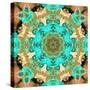 Rose Blossoms Symmetric Ornament-Alaya Gadeh-Stretched Canvas