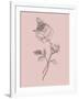 Rose Blush Pink Flower-Jasmine Woods-Framed Art Print