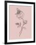 Rose Blush Pink Flower-Jasmine Woods-Framed Art Print