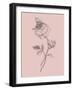 Rose Blush Pink Flower-Jasmine Woods-Framed Art Print