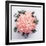 Rose Bouquet-WizData-Framed Photographic Print