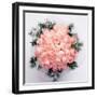 Rose Bouquet-WizData-Framed Photographic Print