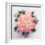 Rose Bouquet-WizData-Framed Photographic Print