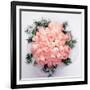 Rose Bouquet-WizData-Framed Photographic Print