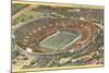 Rose Bowl, Pasadena, California-null-Mounted Art Print