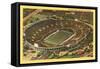 Rose Bowl, Pasadena, California-null-Framed Stretched Canvas