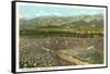 Rose Bowl, Pasadena, California-null-Framed Stretched Canvas