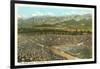 Rose Bowl, Pasadena, California-null-Framed Art Print