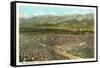 Rose Bowl, Pasadena, California-null-Framed Stretched Canvas