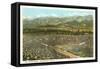 Rose Bowl, Pasadena, California-null-Framed Stretched Canvas