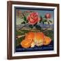 Rose Brand - Redlands, California - Citrus Crate Label-Lantern Press-Framed Art Print