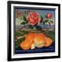 Rose Brand - Redlands, California - Citrus Crate Label-Lantern Press-Framed Art Print