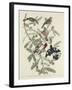 Rose-breasted Grosbeak, 1832-John James Audubon-Framed Giclee Print