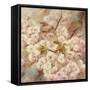 Rose Bush I-li bo-Framed Stretched Canvas