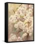 Rose Bush II-li bo-Framed Stretched Canvas