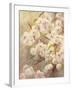 Rose Bush II-li bo-Framed Giclee Print