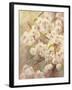 Rose Bush II-li bo-Framed Giclee Print