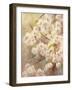 Rose Bush II-li bo-Framed Giclee Print