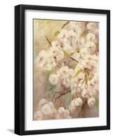 Rose Bush II-li bo-Framed Giclee Print