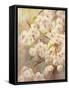 Rose Bush II-li bo-Framed Stretched Canvas