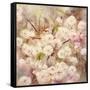 Rose Bush III-li bo-Framed Stretched Canvas