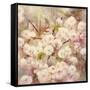 Rose Bush III-li bo-Framed Stretched Canvas