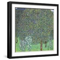 Rose Bushes under the Trees, C. 1905-Gustav Klimt-Framed Giclee Print