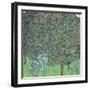 Rose Bushes under the Trees, C. 1905-Gustav Klimt-Framed Giclee Print