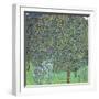 Rose Bushes under the Trees, C. 1905-Gustav Klimt-Framed Giclee Print