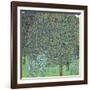 Rose Bushes under the Trees, C. 1905-Gustav Klimt-Framed Giclee Print