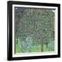 Rose Bushes under the Trees, C. 1905-Gustav Klimt-Framed Giclee Print