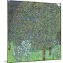 Rose Bushes under the Trees, C. 1905-Gustav Klimt-Mounted Giclee Print