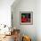 Rose Cigar-Murray Murray Henderson Fine Art-Framed Giclee Print displayed on a wall