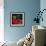 Rose Cigar-Murray Murray Henderson Fine Art-Framed Giclee Print displayed on a wall