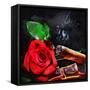 Rose Cigar-Murray Murray Henderson Fine Art-Framed Stretched Canvas