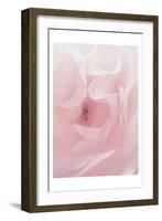 Rose Close Up 2-Urban Epiphany-Framed Art Print