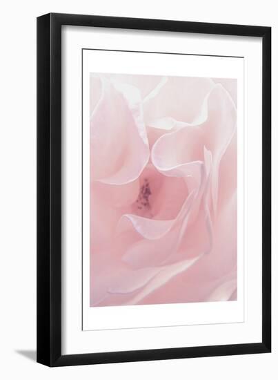 Rose Close Up 2-Urban Epiphany-Framed Art Print