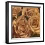 Rose Cluster II-Linda Hanly-Framed Art Print