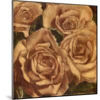 Rose Cluster II-Linda Hanly-Mounted Art Print